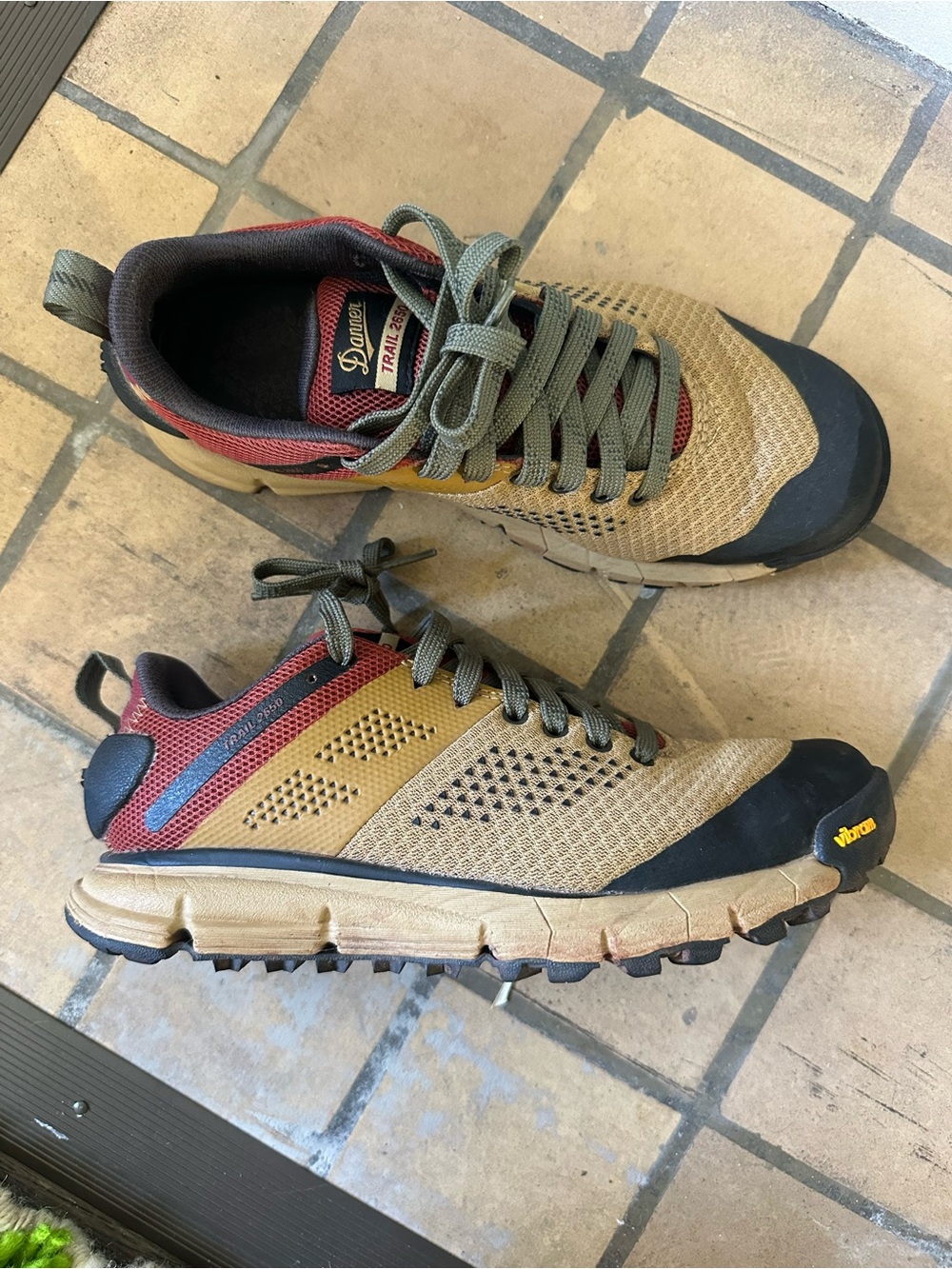Danner Trail 2650 hiking shoe